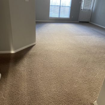 carpet-stain-removal-after-01